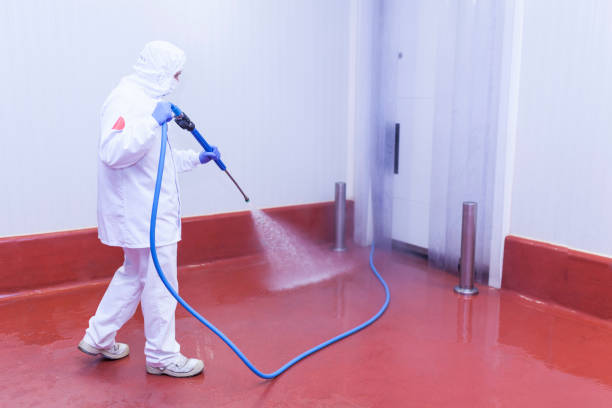 Best Roof Washing  in Pleasant Hill, CA